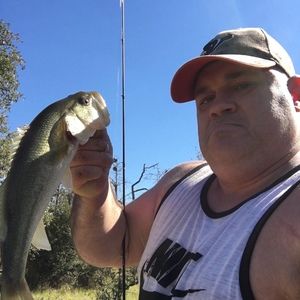 Meet your Posher, Darin